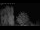 Webcam in Mandelsloh, 8.8 mi away