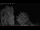 Webcam in Mandelsloh, 8.8 mi away