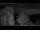 Webcam in Mandelsloh, 8.8 mi away