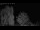 Webcam in Mandelsloh, 8.1 mi away