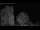 Webcam in Mandelsloh, 8.7 mi away