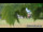 Webcam in Weitnau, 10.9 km entfernt