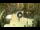 Webcam in Sanremo, 4 mi away