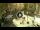 Webcam in Sanremo, 4 mi away