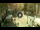 Webcam in Sanremo, 4.2 mi away