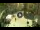 Webcam in Sanremo, 0.2 km