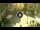 Webcam in Sanremo, 0.2 km
