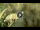 Webcam in Sanremo, 0.1 mi away