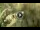 Webcam in Sanremo, 4.2 mi away