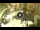Webcam in Sanremo, 0.1 mi away