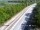 Webcam in Tavernier, Florida, 34.9 km