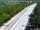 Webcam in Tavernier, Florida, 12.9 mi away