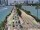 Webcam in Miami Beach, Florida, 85.5 km