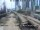 Webcam in Miami, Florida, 114.4 mi away