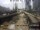 Webcam in Miami, Florida, 4.2 mi away