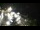 Webcam in Key West, Florida, 1.9 km entfernt