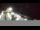 Webcam in Key West, Florida, 588.1 km entfernt