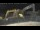 Webcam in Key West, Florida, 7.3 km