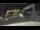 Webcam in Key West, Florida, 298.9 mi away
