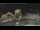 Webcam in Key West, Florida, 269.2 mi away