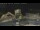 Webcam in Key West, Florida, 954.2 km entfernt