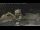 Webcam in Key West, Florida, 0.3 mi away