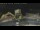 Webcam in Key West, Florida, 89.6 km