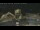 Webcam in Key West, Florida, 49.1 mi away