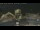 Webcam in Key West, Florida, 49.1 mi away