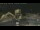 Webcam in Key West, Florida, 497.1 km entfernt