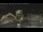 Webcam in Key West, Florida, 663.2 km