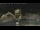 Webcam in Key West, Florida, 700.4 km