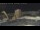 Webcam in Key West, Floride, 106.7 km