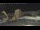 Webcam in Key West, Florida, 109.3 km entfernt