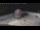 Webcam in Key West, Florida, 267.6 mi away