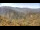 Webcam in Zhangjiajie, 534.5 km
