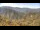 Webcam in Zhangjiajie, 736.4 km
