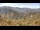 Webcam in Zhangjiajie, 307.5 km