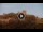 Webcam in Dover, 30.3 mi away