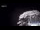 Webcam in Huanglong, 284.1 mi away