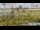 Webcam at mount Tai Shan, 205.2 mi away