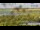 Webcam at mount Tai Shan, 267.5 mi away