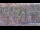 Webcam al Tai Shan, 595.5 km