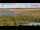 Webcam at mount Tai Shan, 266.6 mi away