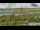 Webcam in Tai Shan, 491.3 km