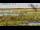 Webcam at mount Tai Shan, 316.3 mi away