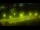 Webcam in Montpellier, 8.6 mi away