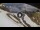 Webcam in Rocca Pietore, 11.6 km entfernt