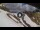 Webcam in Rocca Pietore, 2.2 km entfernt