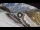 Webcam in Rocca Pietore, 1.5 mi away